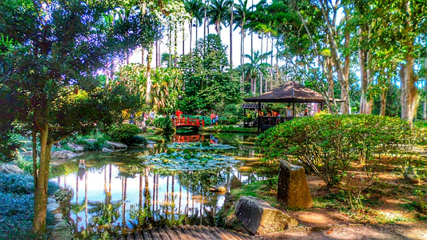 Lugares para meditar no Rio